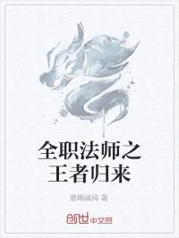 全职法师之王者归来封面