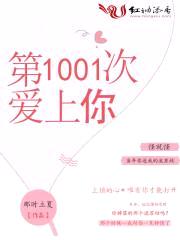 第1001次爱上你封面