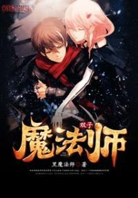 双子魔法师封面