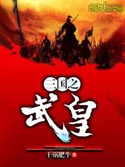 三国之武皇封面