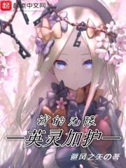 我的无限英灵加护封面