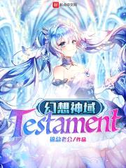 幻想神域Testament封面