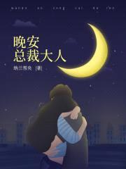 晚安，总裁大人封面