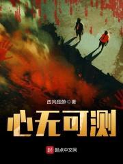 心无可测封面