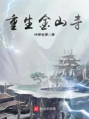 重生金山寺封面
