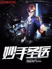 妙手圣医封面