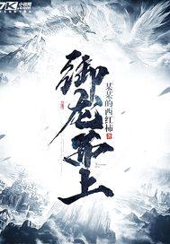御龙而上封面