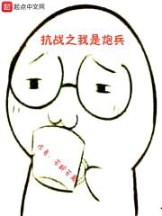 抗战之我是炮兵封面