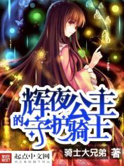 辉夜公主的守护骑士封面
