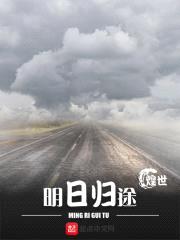明日归途封面