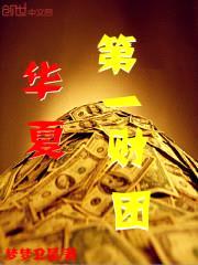 华夏第一财团封面