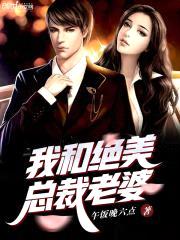 我和绝美总裁老婆封面