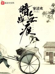 暗战无痕封面