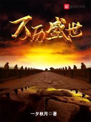 大明少年天子封面