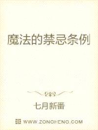 魔法的禁忌条例封面