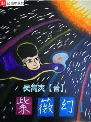 紫薇幻I封面