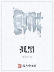 孤黑封面
