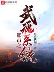都市之武魂系统封面