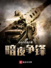 暗夜争锋封面