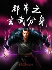 都市之玄武分身封面