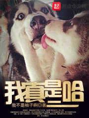 我真是二哈封面