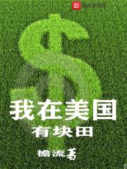 我在美国有块田封面