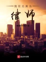 我在北美当律师封面