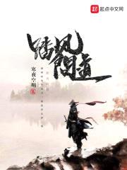 踏风问道封面