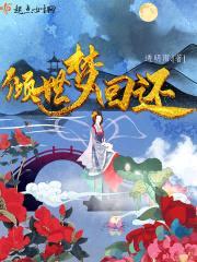 倾世梦回还封面