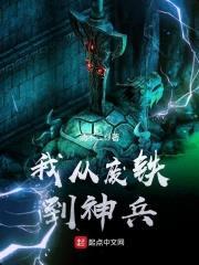 我从废铁到神兵封面