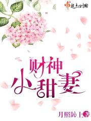 财神小甜妻封面