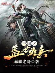 三国之盖世雄兵封面