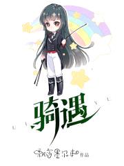 骑遇封面