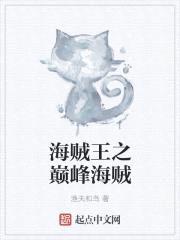 海贼王之巅峰海贼封面