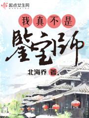 我真不是鉴宝师！封面