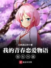我的青春恋爱物语很有问题封面