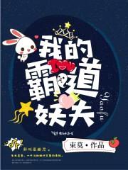 我的霸道妖夫封面