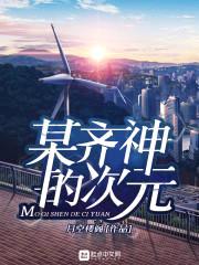 某齐神的次元封面