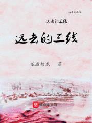 远去的三线封面