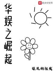 华娱之崛起封面