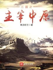 三国之主宰中原封面