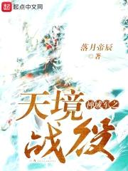 上神界之天境战役封面