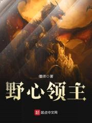 野心领主封面