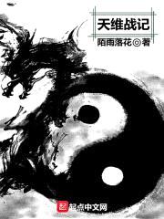 天维战记封面