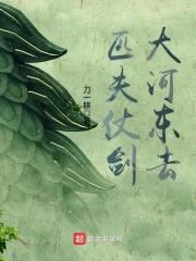 匹夫仗剑大河东去封面