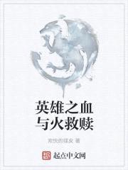 英雄之血与火救赎封面