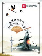 在新武侠时代当高手的二三事封面