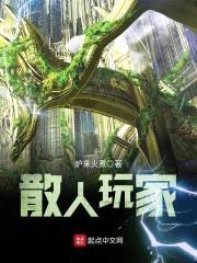 散人玩家封面