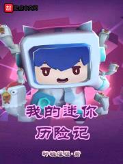 我的迷你传奇历险记封面