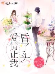 爱情让我昏了头封面